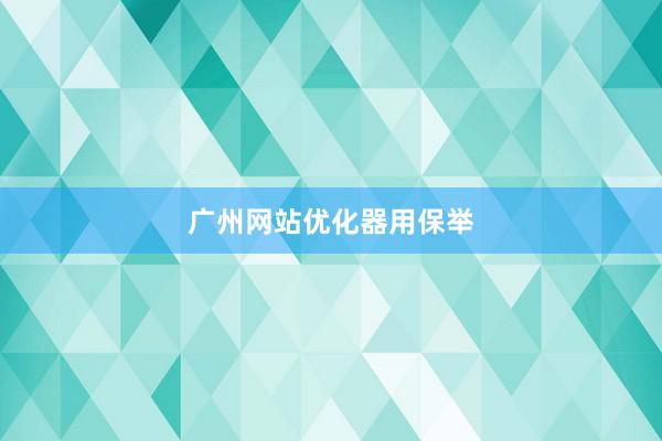 广州网站优化器用保举