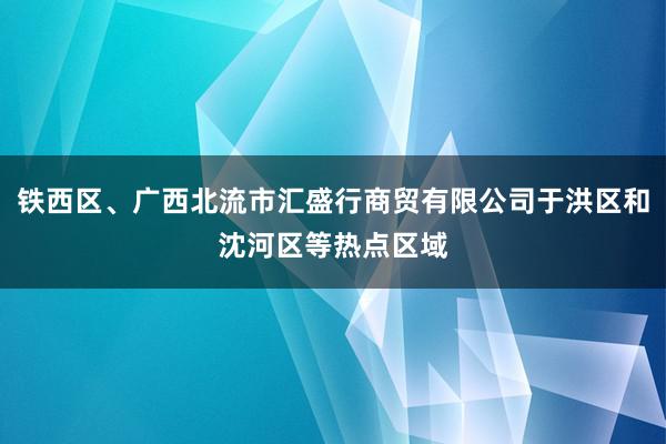 铁西区、广西北流市汇盛行商贸有限公司于洪区和沈河区等热点区域